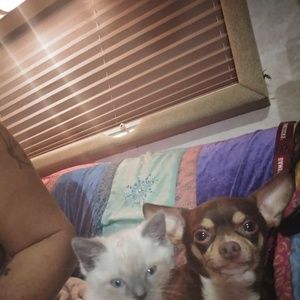 Meet your Posher, Tonya